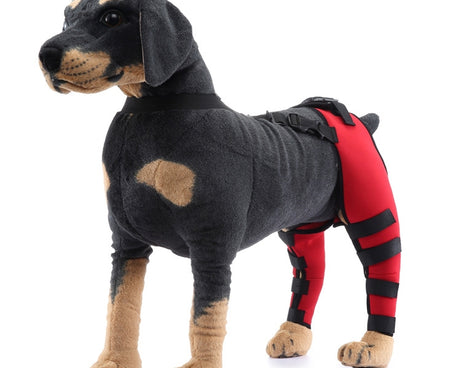 TBD0583686702B_1.jpg@37e762494980b6f9bd06217d6c897498