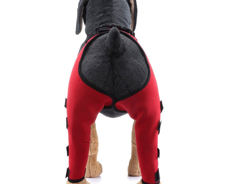 TBD0583686702B_2.jpg@b1dd0eed94d52095c2060146dacd04e9