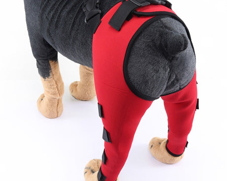 TBD0583686702B_3.jpg@81ee99c6b01fdef101b0bb030303aa4a