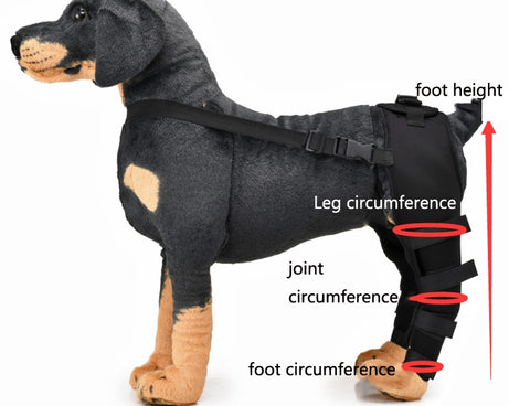 TBD0583686702_B1.jpg@986b6d4e9f5b38df4c0747c546bc42bc