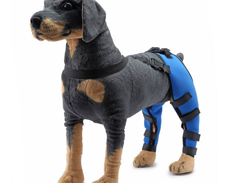 TBD0583686703C_1.jpg@c18b54ba45b3c9c842cc2aad6f3c77ca