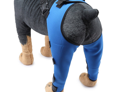 TBD0583686703C_3.jpg@74f71d07cefc520aedc3e5ff15be30ac