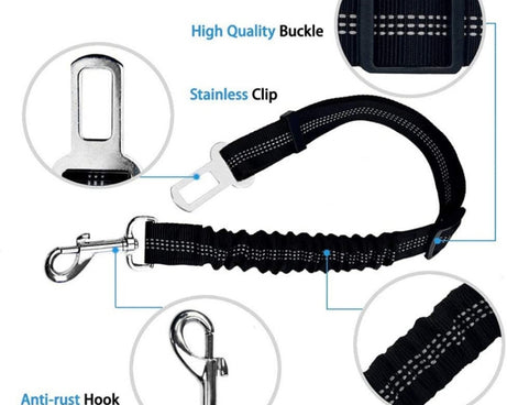 TBD0585353101_B3.jpg@b99c10b8810d80ae50f8f071b7db4142