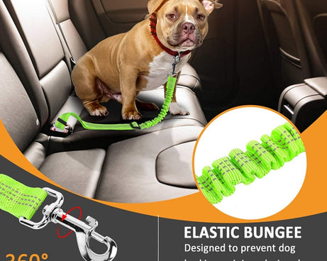 TBD0585353101_B4.jpg@eec155dce25473aa98a44b26bba24a74