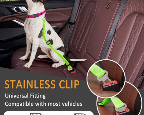 TBD0585353101_B5.jpg@a97bfd814483102b3f0a783984f3497c