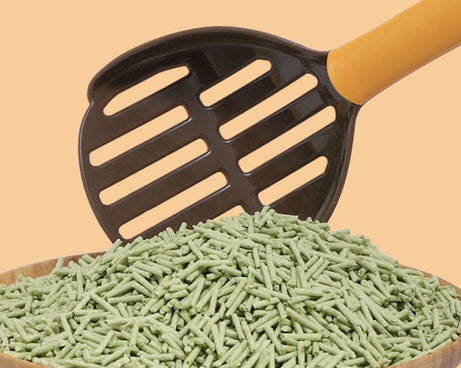 TBD0601950701_B3.jpg@d122e3e58ce115b462938a6bad2e64ac