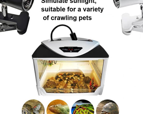 TBD0601996201_B3.jpg@10707a63a1c00a4cb899f67834ee6e76