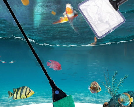 TBD06021538_6.jpg@1e7a44e552e640708278dd59d7f271d4