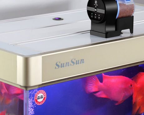 TBD0602259703_B5.jpg@7f7efd52ea990d39953dc49f536e85a6