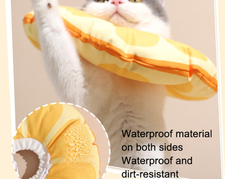 TBD0602559701_B4.jpg@38cff90ab5544c46c2dac3be03de4a5c