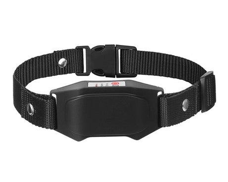 TBD0602752802_B1.jpg@03295aa5e18a484fc371cd68f898c59f