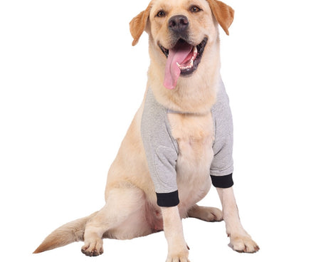 TBD0603216301_B1.jpg@efea17cb09d92ca76a1626feebf23674