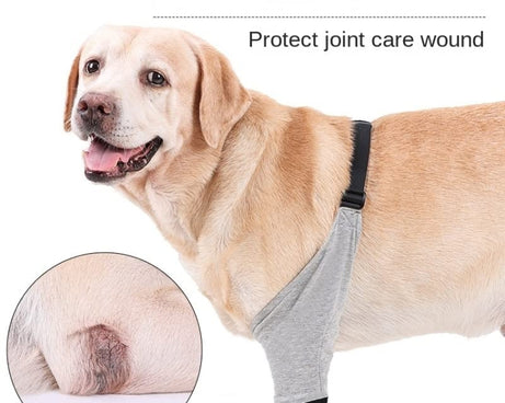 TBD0603216301_B2.jpg@5c2c642f7dde0a285d51ca7262d324e8