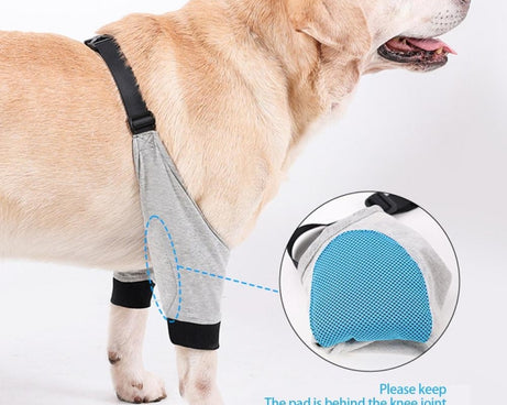 TBD0603216301_B4.jpg@273cf7bf5fb59879a1a72cccdca730da