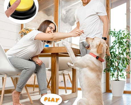 TBD0603250401_B5.jpg@8a2c66ebd0faa20a0c985a2bf1731e0f