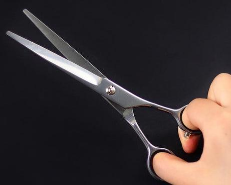 TBD0603256702_B2.jpg@85ee7d73a62ca8599b368a9b2d728035