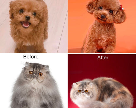 TBD0603256702_B6.jpg@92520718c76eb420630b190353fc86f7