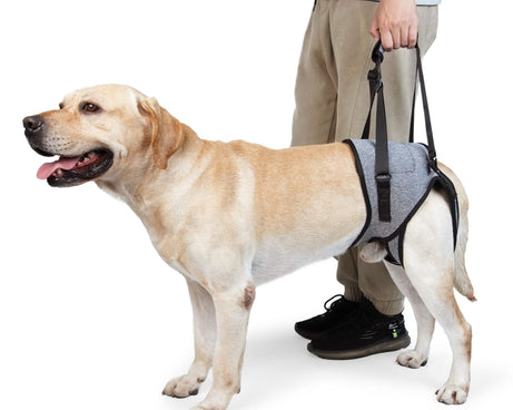 TBD0603514203_B1.jpg@27f16fc9511f318a82dc0d5a68ccd2c3