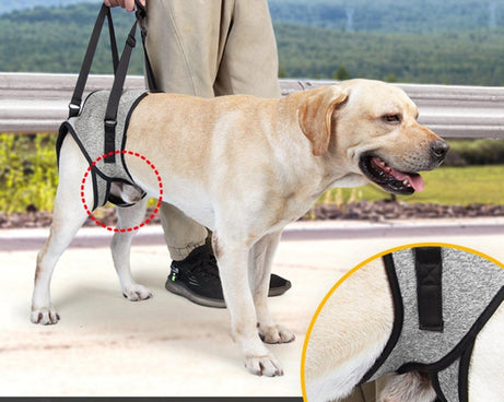 TBD0603514203_B4.jpg@110f708893e8eaa53672e5a3f6b82c5d