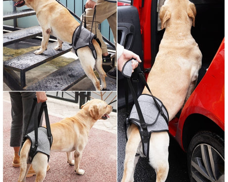 TBD0603514203_B5.jpg@5cc68c35ca1bf885483dd43ed628a7ad