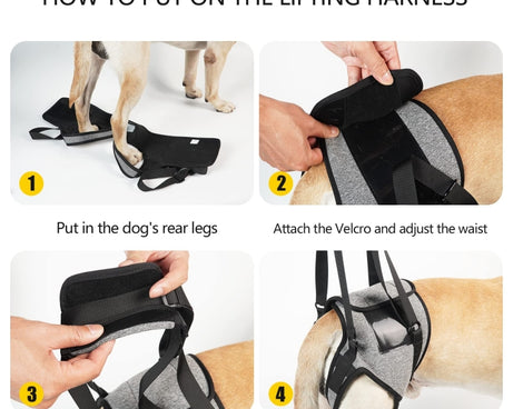 TBD0603514203_B6.jpg@4978fb4405491419a56820b55eb86b9b