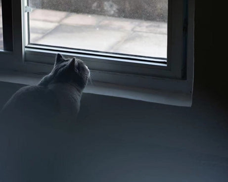 Handheld Diopter Blur Special Effect Photography Camera Accessories, 79mm+1, 79mm+2, 79mm+3, 150mm+0.5, 150mm +1, 150mm+2