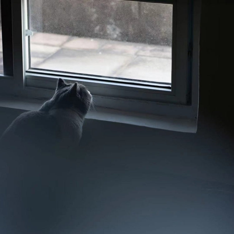 Handheld Diopter Blur Special Effect Photography Camera Accessories, 79mm+1, 79mm+2, 79mm+3, 150mm+0.5, 150mm +1, 150mm+2