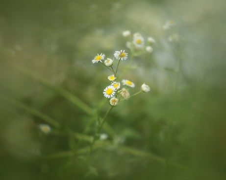 Central Exposure Edge Blur Close-Up Photography Special Effects Filter, 49mm, 52mm, 55mm, 58mm, 62mm, 67mm, 72mm, 77mm, 82mm