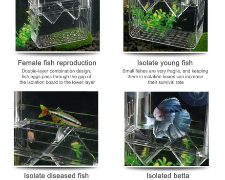 TBD0603547002_B4.jpg@93069261874f48638e2fe01b59107857