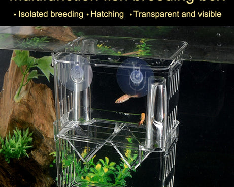 TBD0603547002_B6.jpg@bc52a22ae2fdcce98fcd5e6ff0f6c488