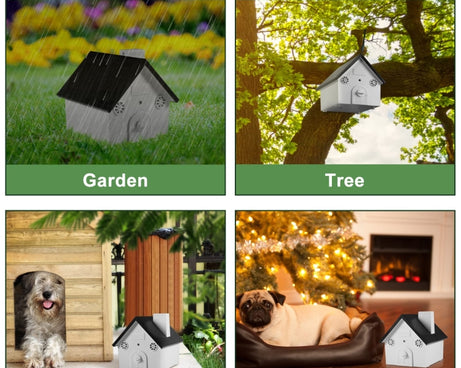 TBD06036471_B3.jpg@050e6ef07dd5473379b208df41ad3dd5