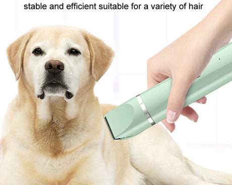 TBD06039701_B9.jpg@aede828cc4b160f5d6e8ea4ba2eb46d3