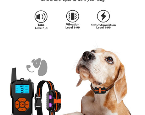 TBD06040524_B1.jpg@b2ecee9b7c206fc536a759958d37a6cb