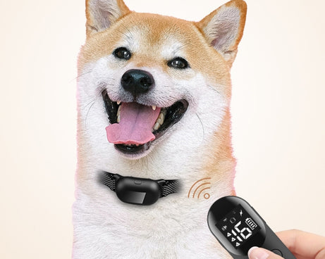 TBD06040528_B1.jpg@ddea01882168a6d5f977b0583556f9c6