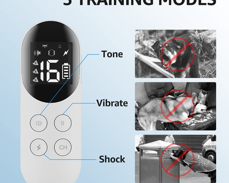 TBD06040528_B3.jpg@316982913d355996f8f97838a0a5742a