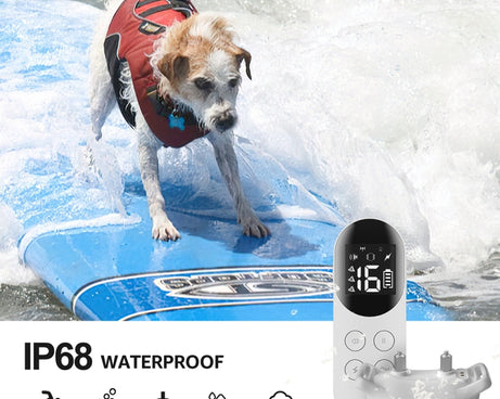 TBD06040528_B7.jpg@0f0b14b0b8f23650bc04fb55f47b8f74