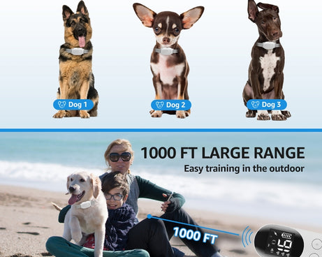 TBD06040528_B8.jpg@e3851076e83a6c3f35d1011214b28cff