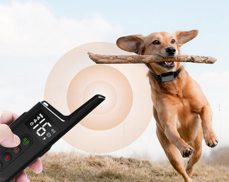 TBD06040569_B1.jpg@4a787077bbf5cf64165fb8b63d20021b