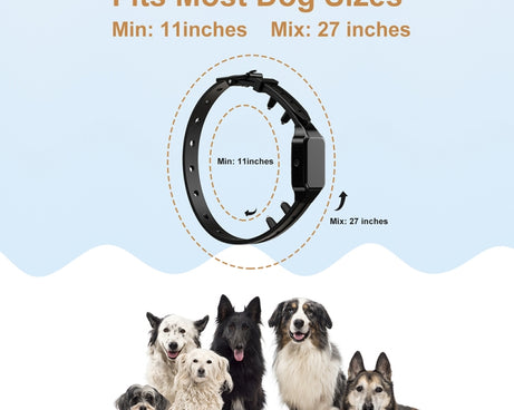 TBD06040569_B2.jpg@3f4214a6e0c277dc31b5c6e97dd92a4a