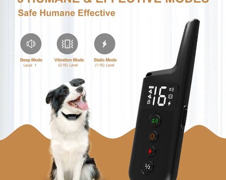 TBD06040569_B3.jpg@06c773c33649710a4f69961748b48307