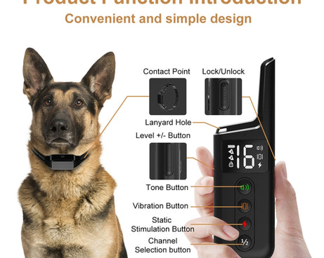 TBD06040569_B4.jpg@57a07af69ccc56896cb8f674c03d6fea