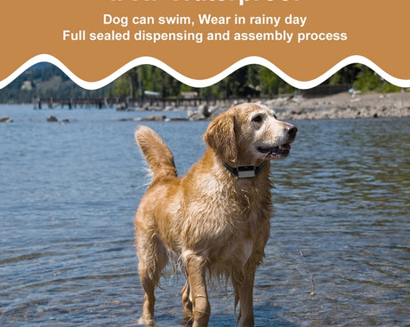 TBD06040569_B6.jpg@dc02068004190b117c410791bbc7ebd1