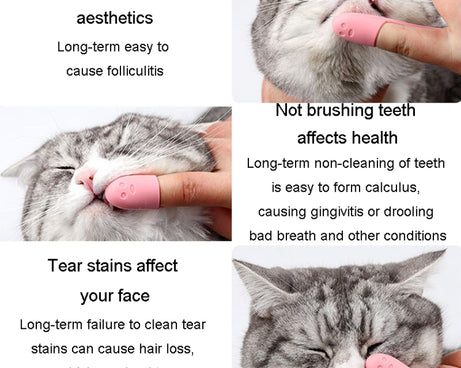 TBD06041889_B6.jpg@395d3efae4ca1316231b9ecb96d08e62