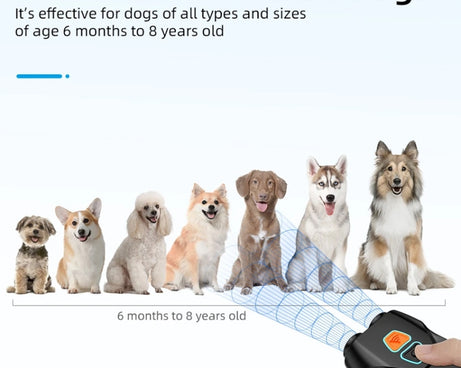 TBD06043503_B11.jpg@5536d61c3f330181f6b276df5eff271d