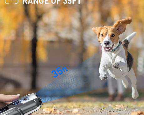 TBD06043531_B1.jpg@ec0125431878b186cdbbf0bf2e42e88b