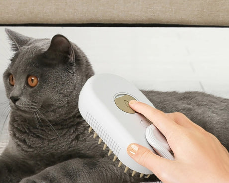 TBD06044016_B8.jpg@8b897b22b4cbd407113faa38f077d9e7