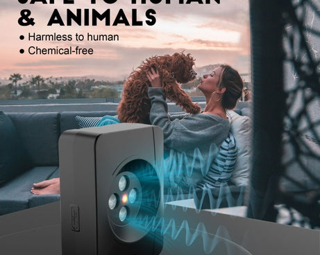 TBD06046504_B5.jpg@5ddc97756afba36d70a249bdbe91339f