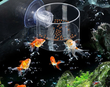 TBD06046506_B1.jpg@caf6865ee342fe0ff4248921136b6344