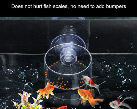 TBD06046506_B4.jpg@f4df06460ccca722c94727abe9e1d388