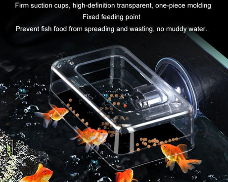 TBD06046506_B5.jpg@1e13f97e598c08da700f2deb1fd0a9fe